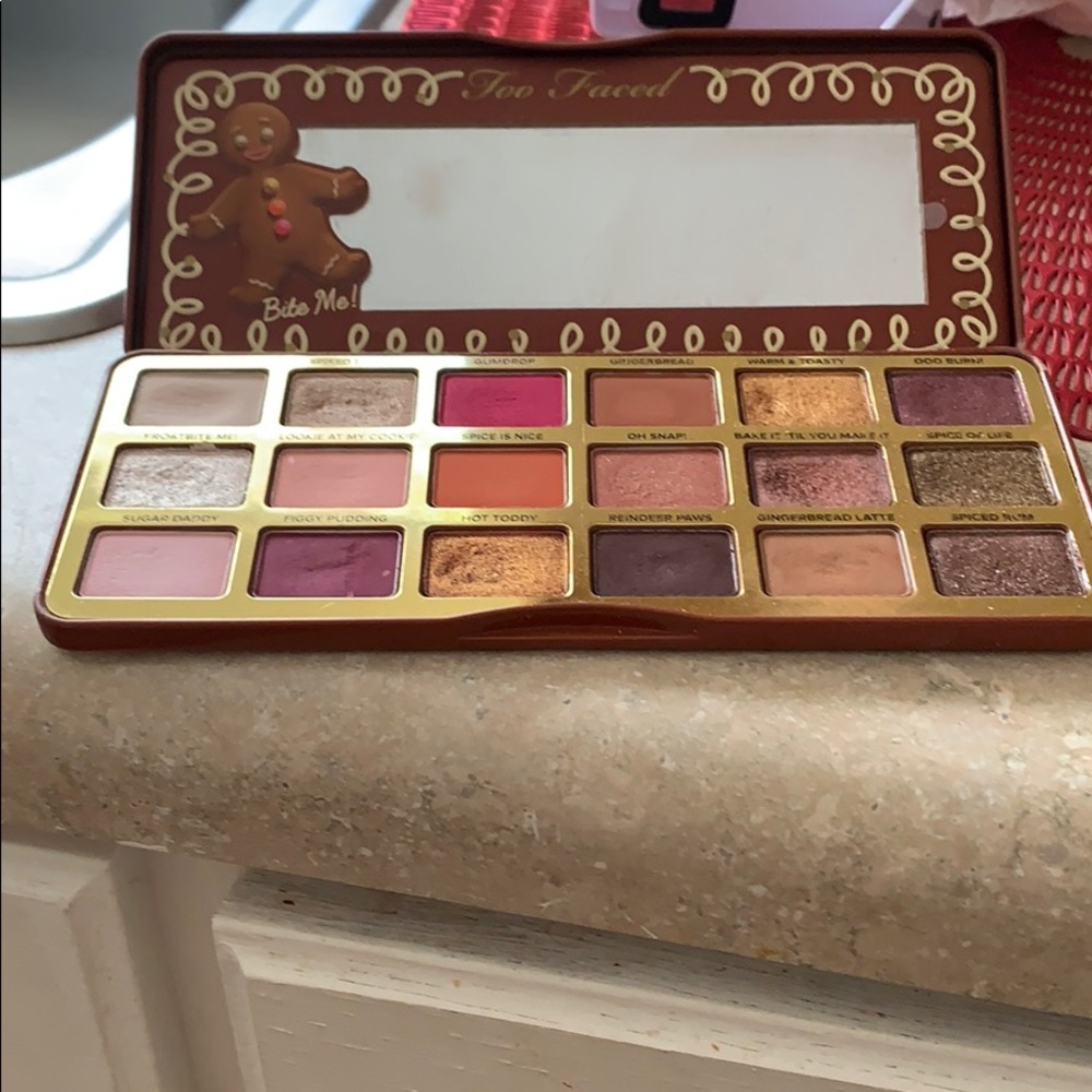 Too faced gingerbread spice eye shadow pallet